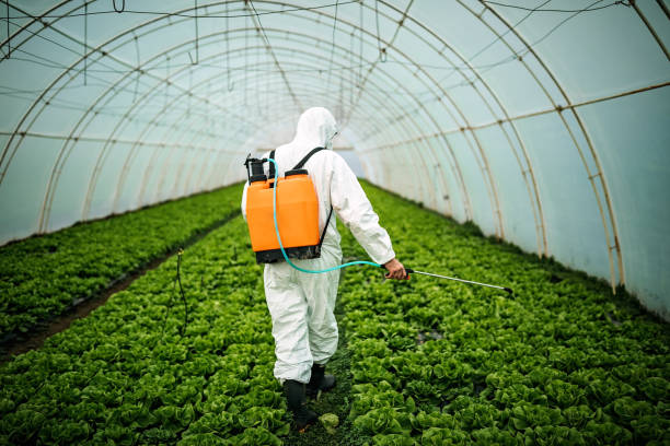 Best Pest Control Cost  in Felton, CA