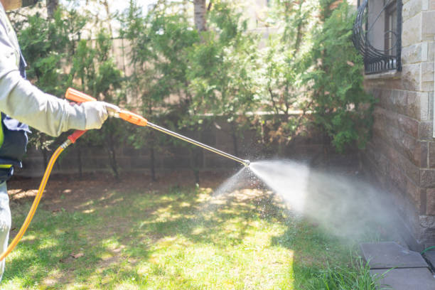 Pest Control Cost in Felton, CA