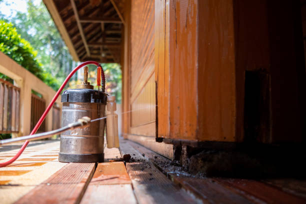 Best Insect Control  in Felton, CA